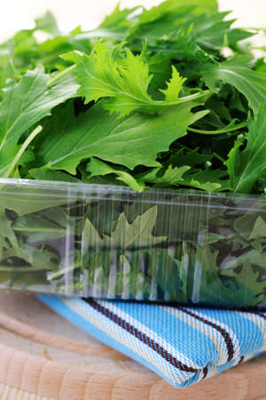 box of mizuna leaves ready for salad - fruits and vegetablesの写真素材
