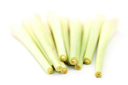 lemon grass on white background - herbs and spicesの写真素材