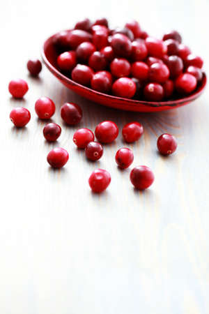 bowl of fresh cranberries - fruits and vegetablesの写真素材