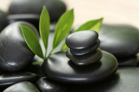 black pebbles and green leaves - beauty treatmentの写真素材