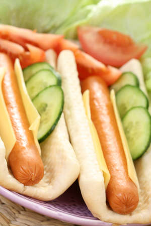 two fresh and delicious hot dogs with vegetablesの写真素材