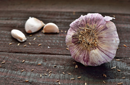 Garlic cloves and garlic bulb on vintage wooden table. Spicy cooking ingredient. Natural herbal medicine vegetable.の写真素材