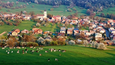 Spring landscape in Slovakia. Rural countryside in Polana region. Fields and meadows with blooming cherriesの写真素材