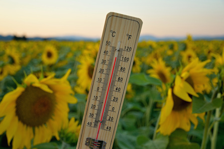 Mercury wooden thermometer shows very high temperature. Temperatures in Celsius and Fahrenheit...