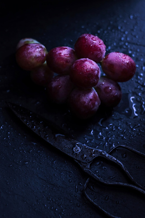 Grapes fruit on stone background and scissors decoration. Healthy fruit. Delicious fresh berries.の写真素材