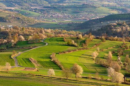 Spring in Slovakia. Meadows and fields landscape near Hrinova. Spring colored cherry trees at sunsetの写真素材