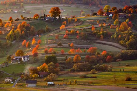 Fall in Slovakia. Meadows and fields landscape near Hrinova. Autumn colored cherry trees at sunsetの写真素材