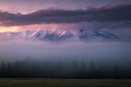 Winter landscape in Slovakia. High Tatras mountains under snow. Frozen snowy trees and dark sky...