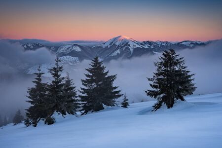 Winter landscape in Slovakia. High Tatras mountains under snow. Frozen snowy trees and dark sky panorama.の写真素材