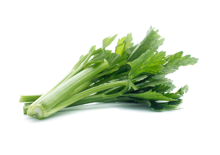 fresh celery isolated on white backgroundの写真素材