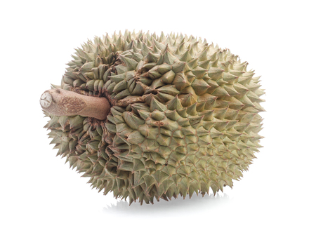 yellow durian in side Mon Thong durian fruit on white backgroundの写真素材