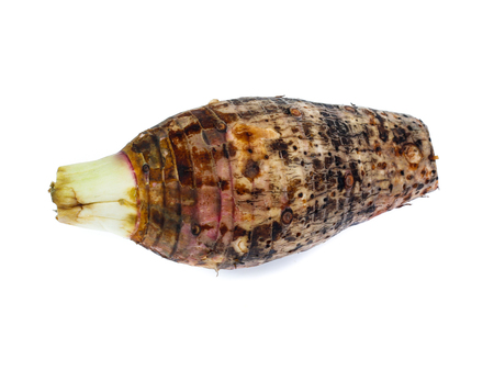 taro isolated on white backgroundの写真素材