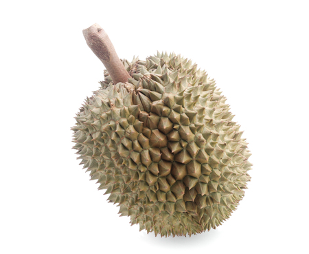 yellow durian in side Mon Thong durian fruit on white backgroundの写真素材