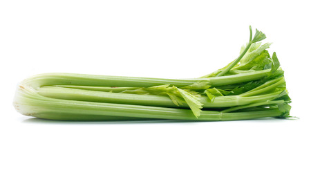 fresh celery isolated on white backgroundの写真素材