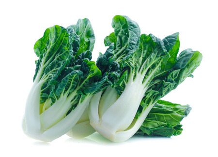 fresh chinese cabbage on a white backgroundの写真素材