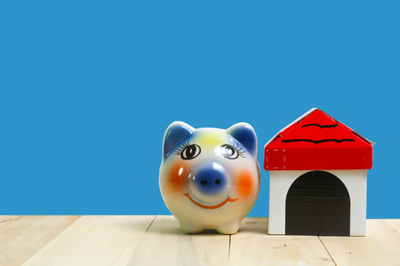 piggy bank and on wood blue backgroundの写真素材
