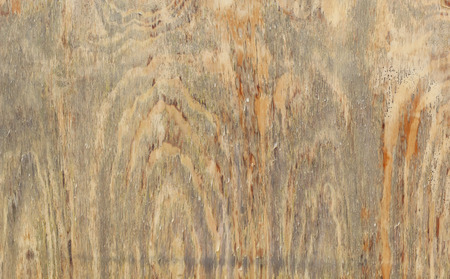 old wood texture backgroundの写真素材