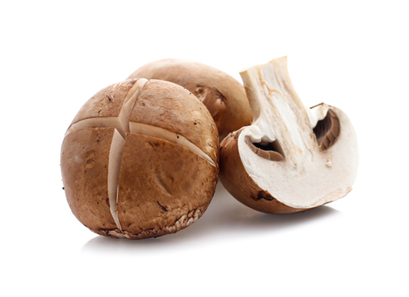 champignon mushrooms on white backgroundの写真素材