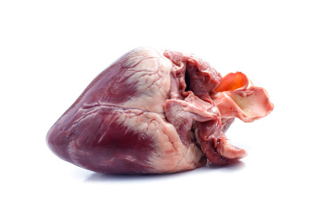 raw pig heart close-up isolated on white backgroundの写真素材