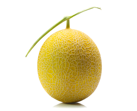 cantaloupe melon isolated on whiteの写真素材