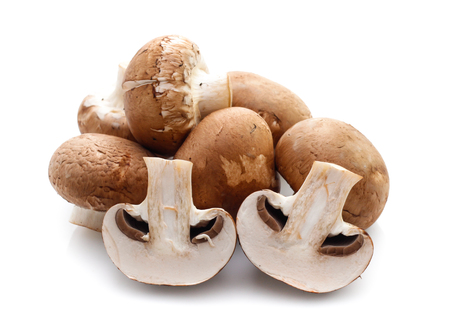 champignon mushrooms on white backgroundの写真素材
