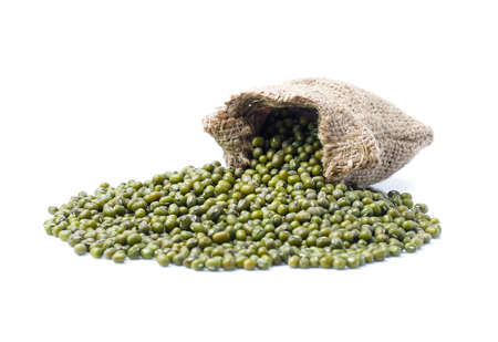 Mung beans on white backgroundの写真素材