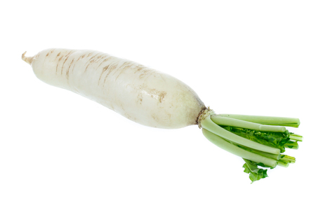 White radish isolated on white backgroundの写真素材