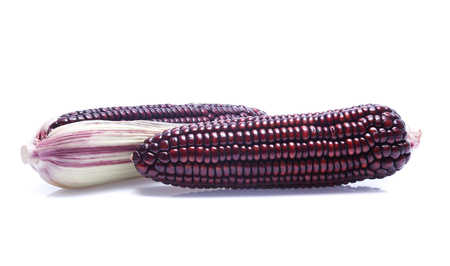 Black Corn on white backgroundの写真素材