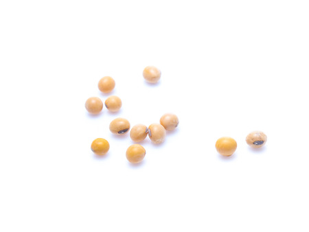 Soybeans  isolated on white backgroundの写真素材