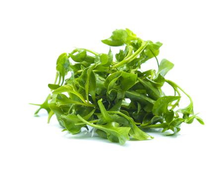 Watercress leaf isolated on white backgroundの写真素材