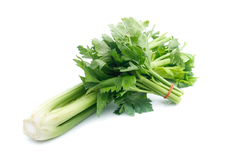 fresh celery isolated on white backgroundの写真素材