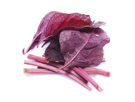 red spinach isolated on white backgroundの写真素材