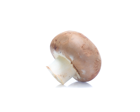 Fresh champignon mushrooms isolated on whiteの写真素材