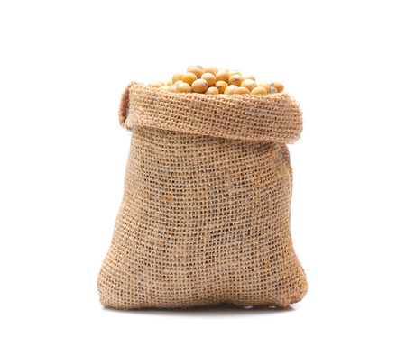 Soybeans  isolated on white backgroundの写真素材