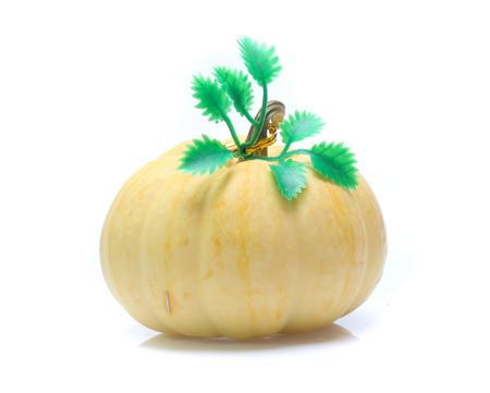 Pumpkin isolated on white backgroundの写真素材