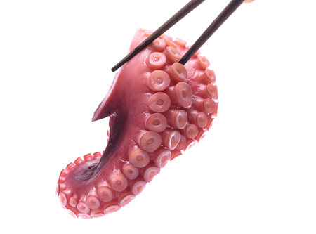 tentacles of octopus isolated on white backgroundの写真素材