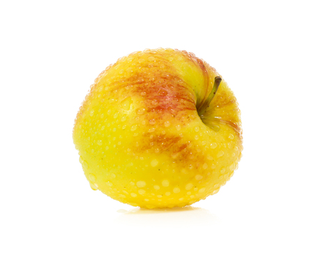 Yellow apples isolatedの写真素材