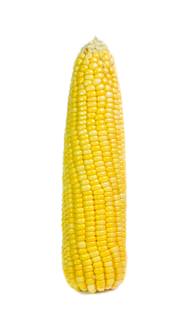 An ear of corn isolated on a whiteの写真素材