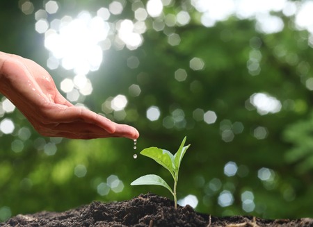 Farmer's hand watering a young plant on green bokeh natureの写真素材