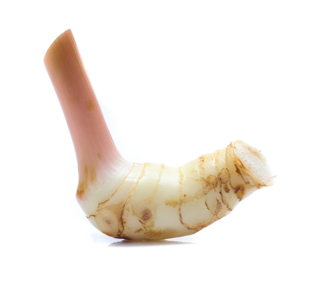 Fresh slices galangal rhizomes isolated on white backgroundの写真素材