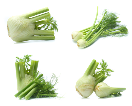 Fresh, organic fennel on a white background (Mix, set , collection)の写真素材
