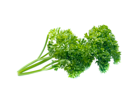 parsley isolated on white backgroundの写真素材