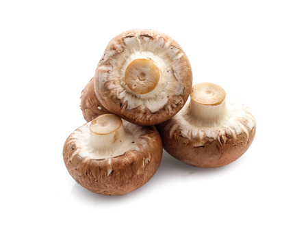 Champignon mushrooms on whiteの写真素材