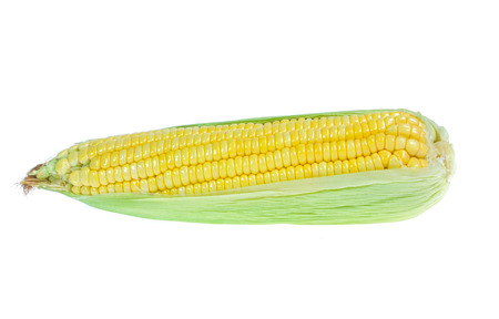 An ear of corn isolated on a whiteの写真素材