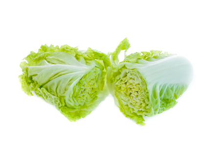 Fresh chinese cabbage on a whiteの写真素材