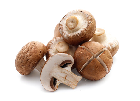 Champignon mushrooms on whiteの写真素材