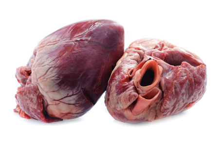 Raw pig heart close-up isolated on whiteの写真素材
