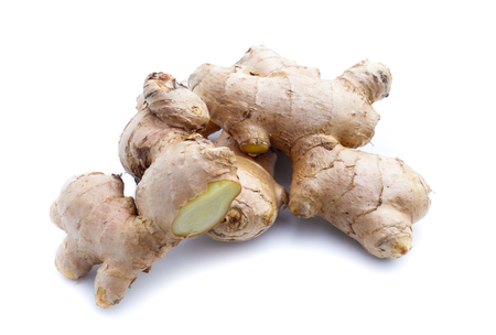 Ginger on whiteの写真素材