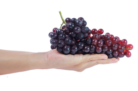 Red grapes  isolated on whiteの写真素材