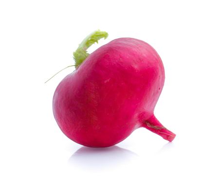 Small garden radish isolated on whiteの写真素材